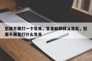 愁眉不展打一个生肖，答案解释释义落实，愁眉不展是打什么生肖