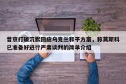 普京打破沉默回应乌克兰和平方案，称莫斯科已准备好进行严肃谈判的简单介绍