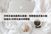 沙特王储访美揭示真相：特朗普经济靠AI驱动增长/沙特王储与特朗普