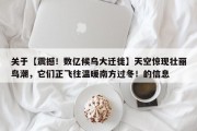 关于【震撼！数亿候鸟大迁徙】天空惊现壮丽鸟潮，它们正飞往温暖南方过冬！的信息