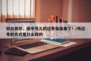 秋日将尽，园中鸟儿的过冬指南来了！/鸟过冬的方式是什么样的