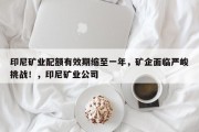 印尼矿业配额有效期缩至一年，矿企面临严峻挑战！，印尼矿业公司
