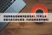 泽连斯基亲信被曝涉能源系统1.7亿美元贪腐案乌克兰政坛震荡（大的泥鳅鱼用开膛吗）