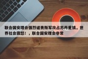联合国安理会强烈谴责叛军攻占苏丹重镇，世界社会震怒！，联合国安理会非常