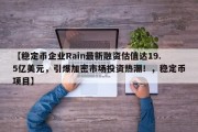 【稳定币企业Rain最新融资估值达19.5亿美元，引爆加密市场投资热潮！，稳定币项目】
