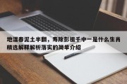地湿春泥土半翻，寿除彭祖千中一是什么生肖精选解释解析落实的简单介绍