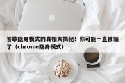 谷歌隐身模式的真相大揭秘！你可能一直被骗了（chrome隐身模式）