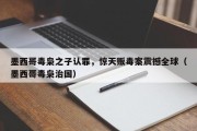 墨西哥毒枭之子认罪，惊天贩毒案震撼全球（墨西哥毒枭治国）