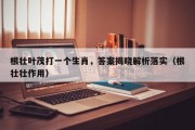 根壮叶茂打一个生肖，答案揭晓解析落实（根壮壮作用）