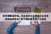 折尽樱桃绽尽梅，不比寻常三五夜指什么生肖，经典解读落实？折了樱桃寓意是什么意思