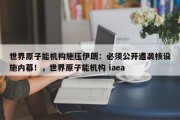 世界原子能机构施压伊朗：必须公开遭袭核设施内幕！，世界原子能机构 iaea