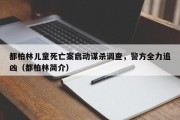 都柏林儿童死亡案启动谋杀调查，警方全力追凶（都柏林简介）