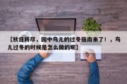 【秋日将尽，园中鸟儿的过冬指南来了！，鸟儿过冬的时候是怎么做的呢】