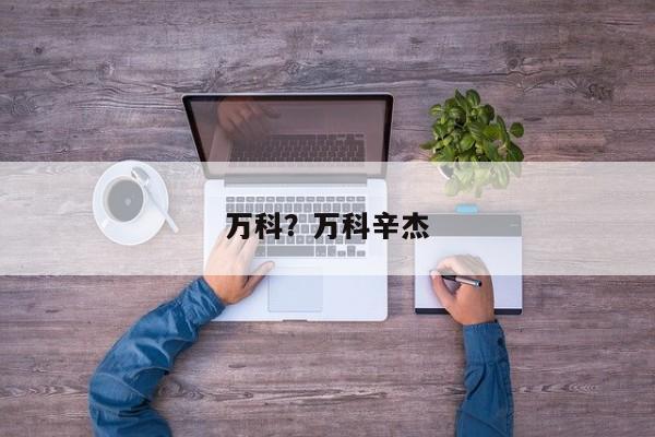 万科？万科辛杰