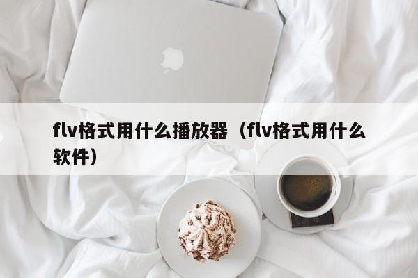 flv格式用什么播放器(flv格式用什么软件)