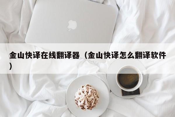 金山快译在线翻译器(金山快译怎么翻译软件)