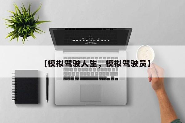 【模拟驾驶人生,模拟驾驶员】