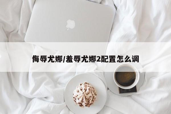 侮辱尤娜/羞辱尤娜2配置怎么调