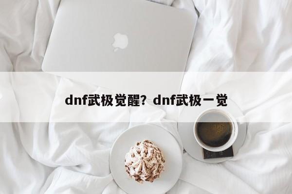 dnf武极觉醒?dnf武极一觉