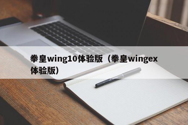 拳皇wing10体验版(拳皇wingex体验版)