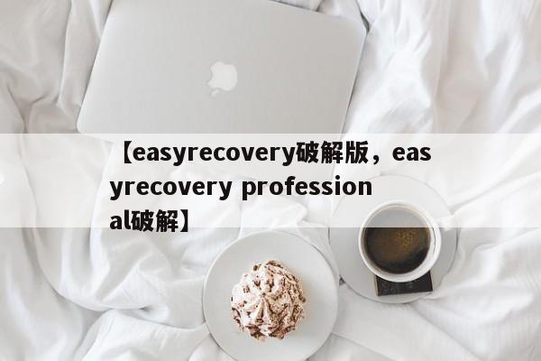 【easyrecovery破解版,easyrecovery professional破解】