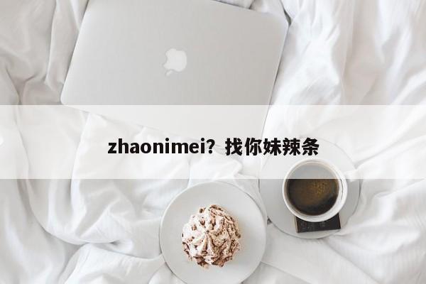 zhaonimei?找你妹辣条