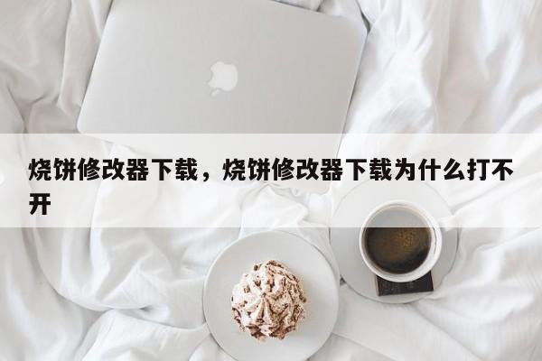 烧饼修改器下载,烧饼修改器下载为什么打不开