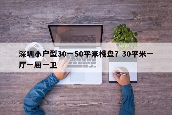 深圳小户型30一50平米楼盘?30平米一厅一厨一卫