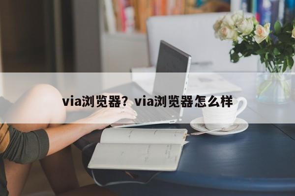 via浏览器?via浏览器怎么样