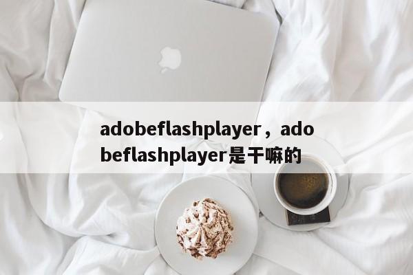 adobeflashplayer,adobeflashplayer是干嘛的