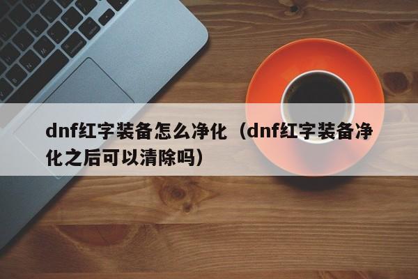 dnf红字装备怎么净化(dnf红字装备净化之后可以清除吗)