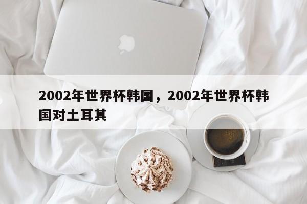 2002年世界杯韩国,2002年世界杯韩国对土耳其