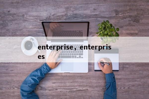 enterprise,enterprises