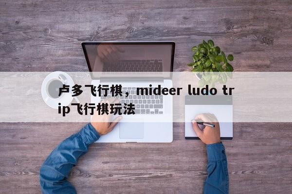 卢多飞行棋,mideer ludo trip飞行棋玩法