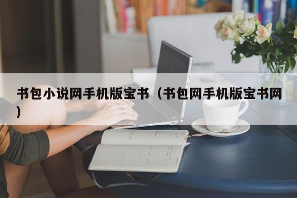 书包小说网手机版宝书(书包网手机版宝书网)