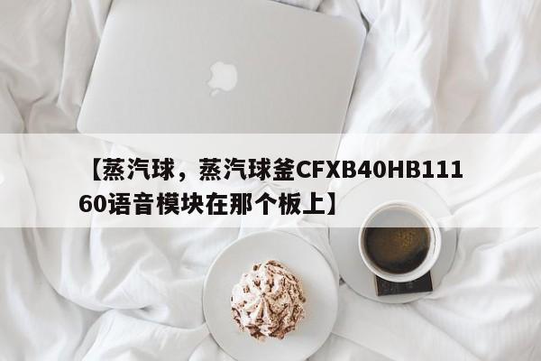 【蒸汽球,蒸汽球釜CFXB40HB11160语音模块在那个板上】