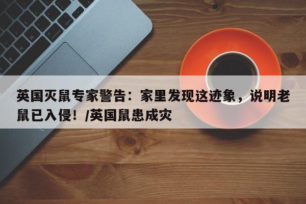 英国灭鼠专家警告:家里发现这迹象,说明老鼠已入侵!/英国鼠患成灾