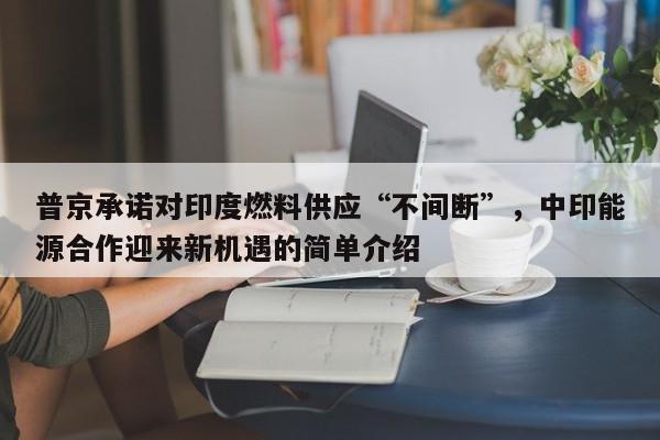 普京承诺对印度燃料供应“不间断”,中印能源合作迎来新机遇的简单介绍