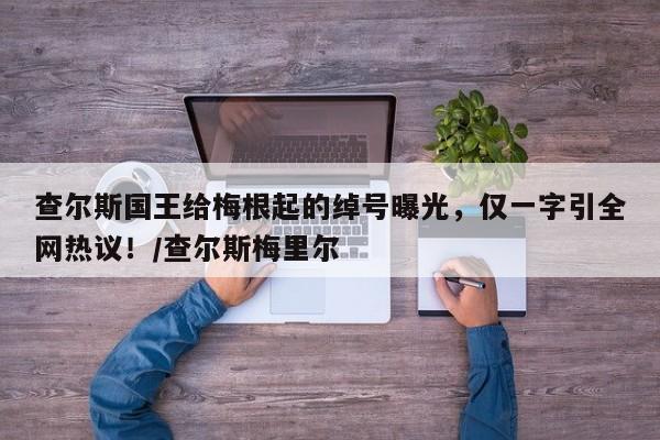 查尔斯国王给梅根起的绰号曝光,仅一字引全网热议!/查尔斯梅里尔