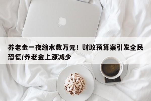 养老金一夜缩水数万元！财政预算案引发全民恐慌／养老金上涨减少