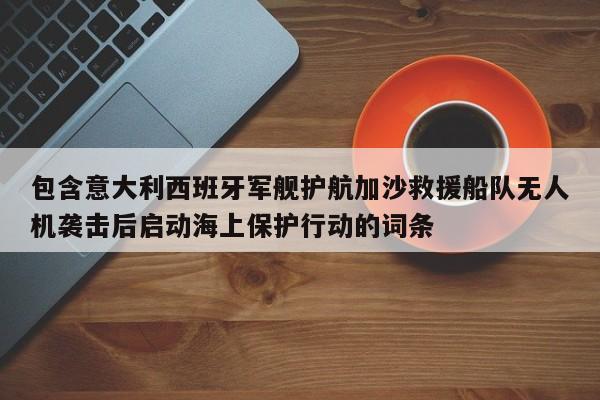 包含意大利西班牙军舰护航加沙救援船队无人机袭击后启动海上保护行动的词条