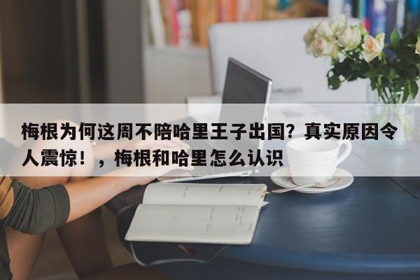 梅根为何这周不陪哈里王子出国?真实原因令人震惊!,梅根和哈里怎么认识