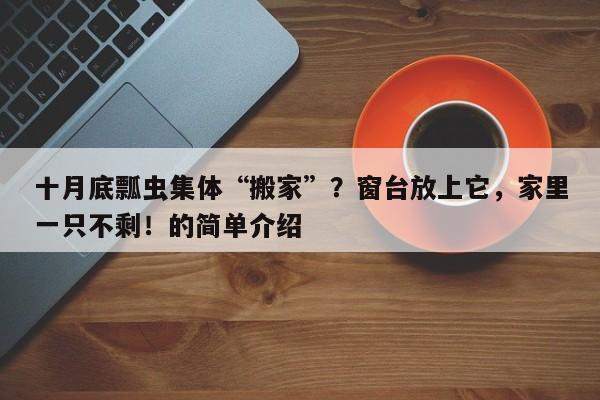 十月底瓢虫集体“搬家”?窗台放上它,家里一只不剩!的简单介绍