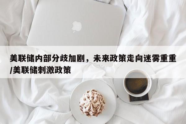 美联储内部分歧加剧,未来政策走向迷雾重重/美联储刺激政策