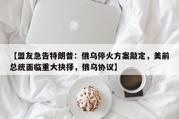 【盟友急告特朗普:俄乌停火方案敲定,美前总统面临重大抉择,俄乌协议】