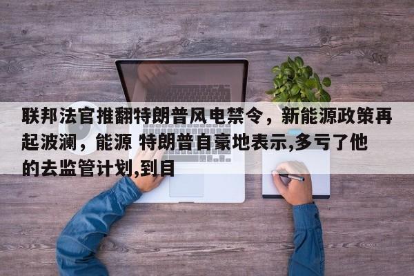 联邦法官推翻特朗普风电禁令,新能源政策再起波澜,能源 特朗普自豪地表示,多亏了他的去监管计划,到目