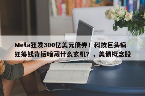 Meta狂发300亿美元债券!科技巨头疯狂筹钱背后暗藏什么玄机?,美债概念股