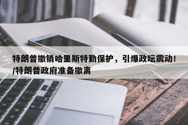 特朗普撤销哈里斯特勤保护,引爆政坛震动!/特朗普政府准备撤离