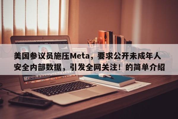 美国参议员施压Meta,要求公开未成年人安全内部数据,引发全网关注!的简单介绍