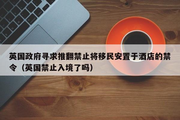 英国政府寻求推翻禁止将移民安置于酒店的禁令(英国禁止入境了吗)